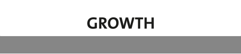 Growth Canvas - Growth